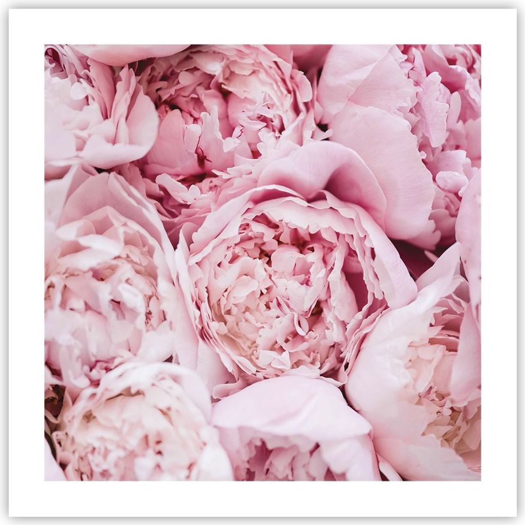Poster - Poster ohne Rahmen - Blumenstrauß Blumen Rosa - 50x50 cm - Wand Bild - Wanddeko - Wandbilder - Kunstposter - Wandposter - Bilder - Kunstd...