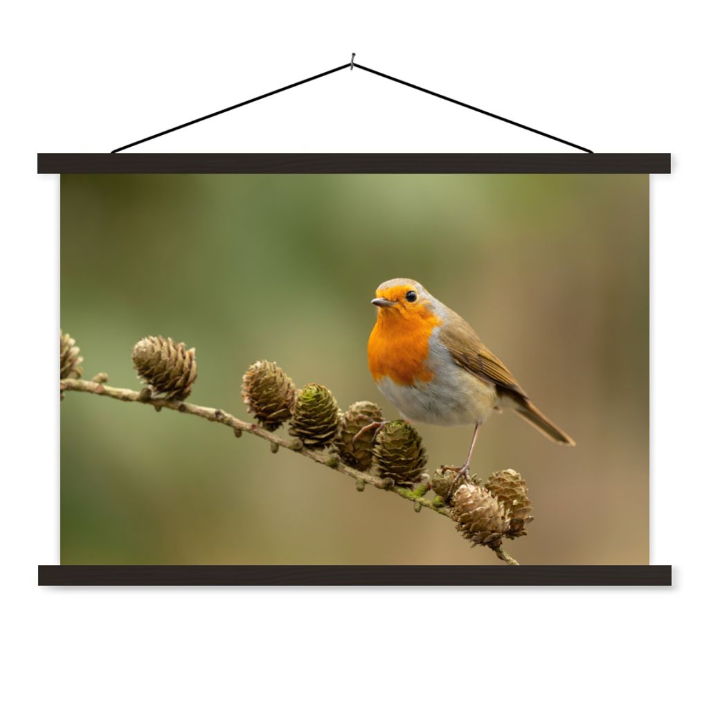 MuchoWow Textilposter Vogel - Rotkehlchen - Tannenzapfen - Zweig - Herbst 120x80 cm mit schwarzem Rahmen - Wanddeko