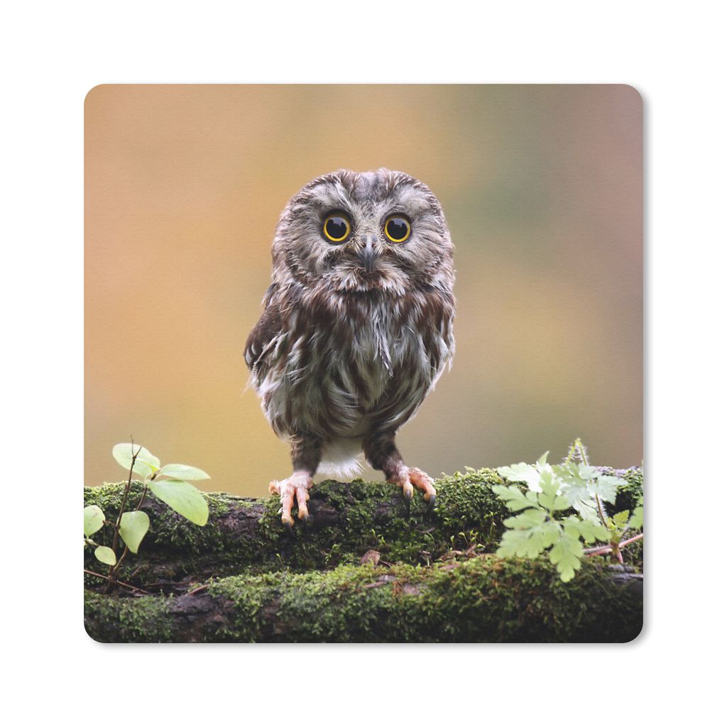 MuchoWow Mauspad Mousepad Steinkauz 20x20 cm - Mousepads - Maus Mat - Pad - Mausunterlage - Desk Mat - Bureauartikeln