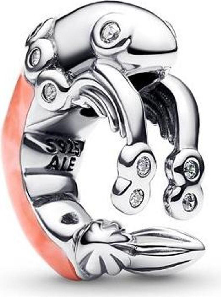 A close-up studio shot of a Pandora charm.