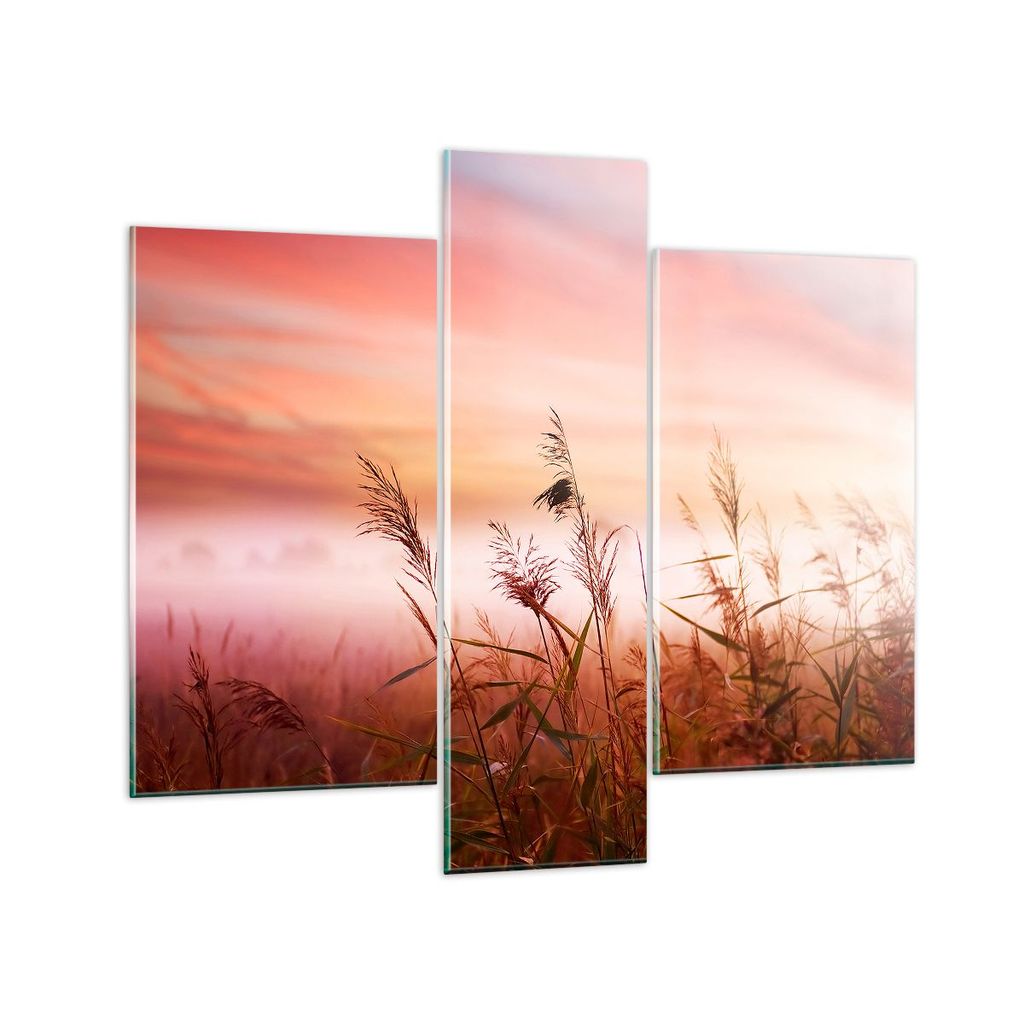 Bilder auf glas - Wiese Getreide Natur - 95x80cm - Glasbilder - Wandbilder - Kunstdruck - zum Aufhängen bereit - Wanddekoration aus Glas - Glas Bi...