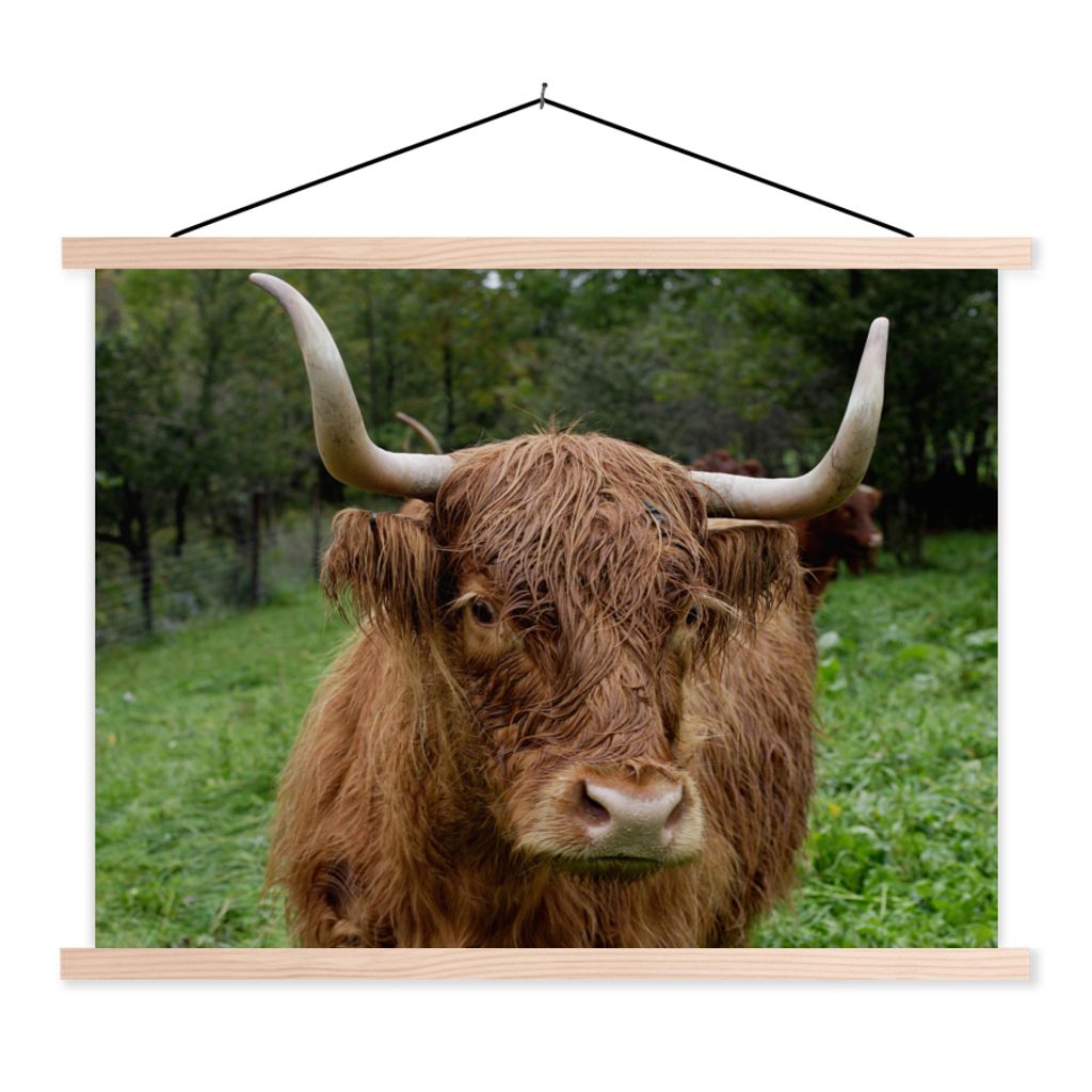 MuchoWow Textilposter Schottische Highlander - Tiere - Gras 40x30 cm mit holzfarbenen Rahmen - Bilder