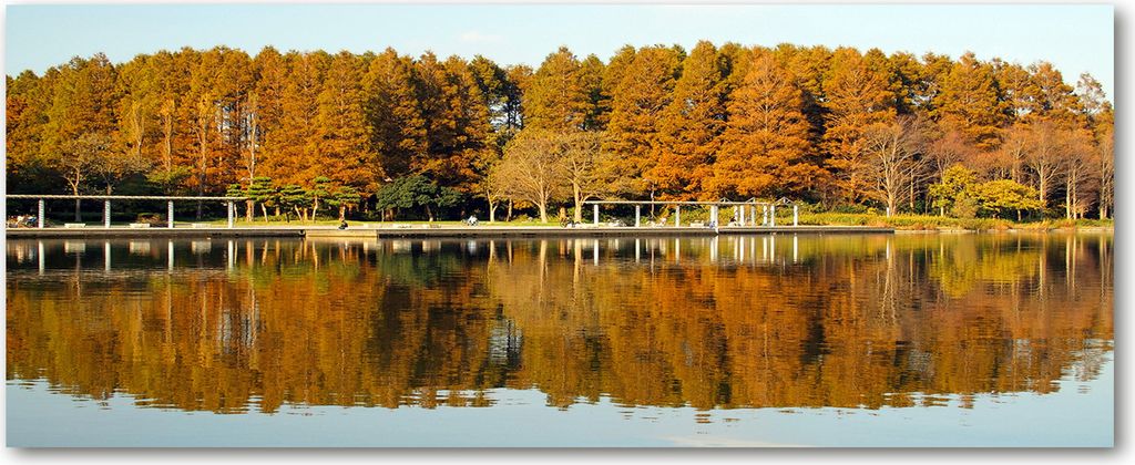 Tulup Leinwandbild - 125x50 cm - Wandkunst - Drucke auf Leinwand - Leinwanddruck - Landschaften - Orange - Wald am See