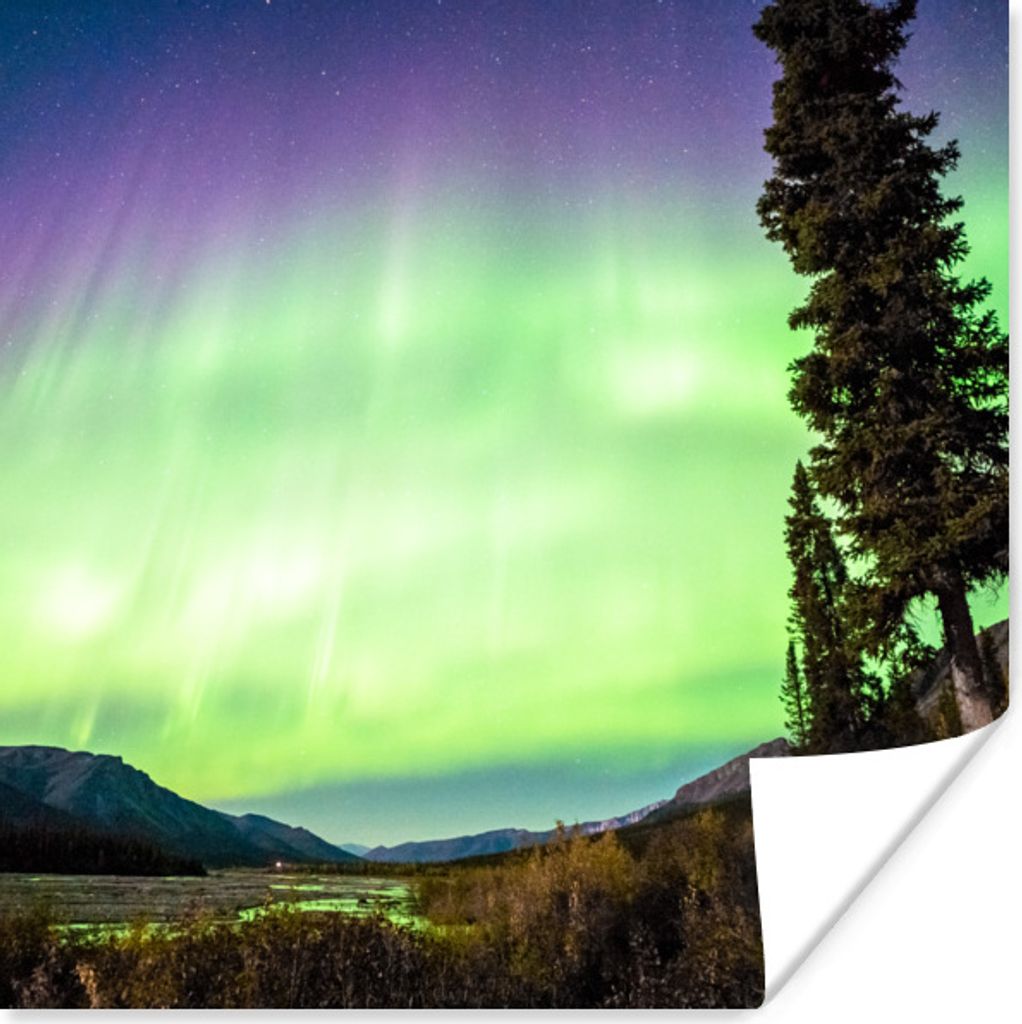 MuchoWow Poster Nordlichter - Baum - Berg - Natur 30x30 cm - Wandposter - Printing