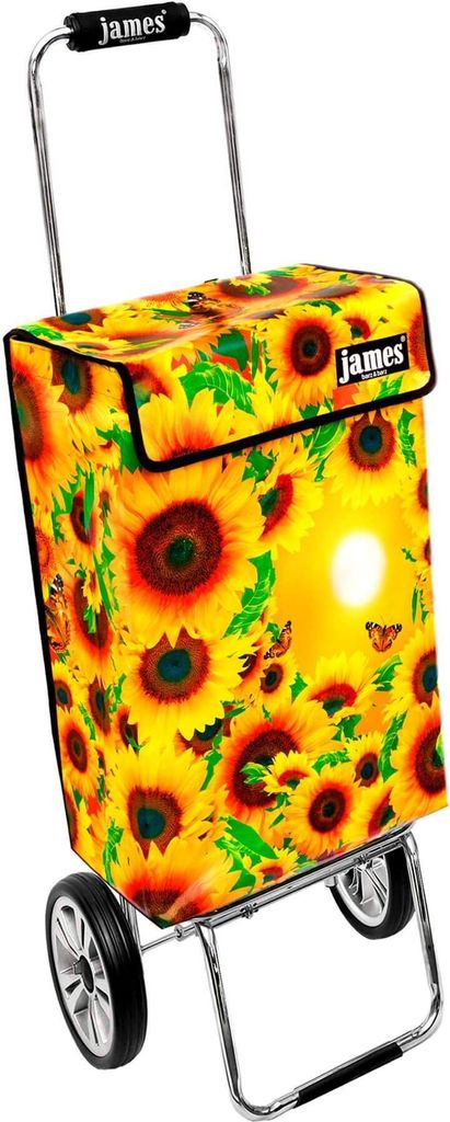 Nákupní vozík James - MIRASOL - robustní nákupní vozík s Obrázek produktu 
