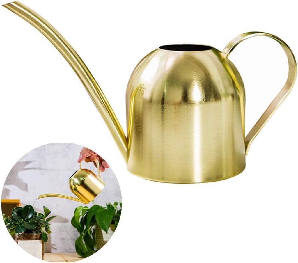 Gießkanne aus Edelstahl, kleiner Gießtopf mit langem Hals für Zuhause, drinnen, draußen, Garten, Sukkulenten, 500 ml (gold)