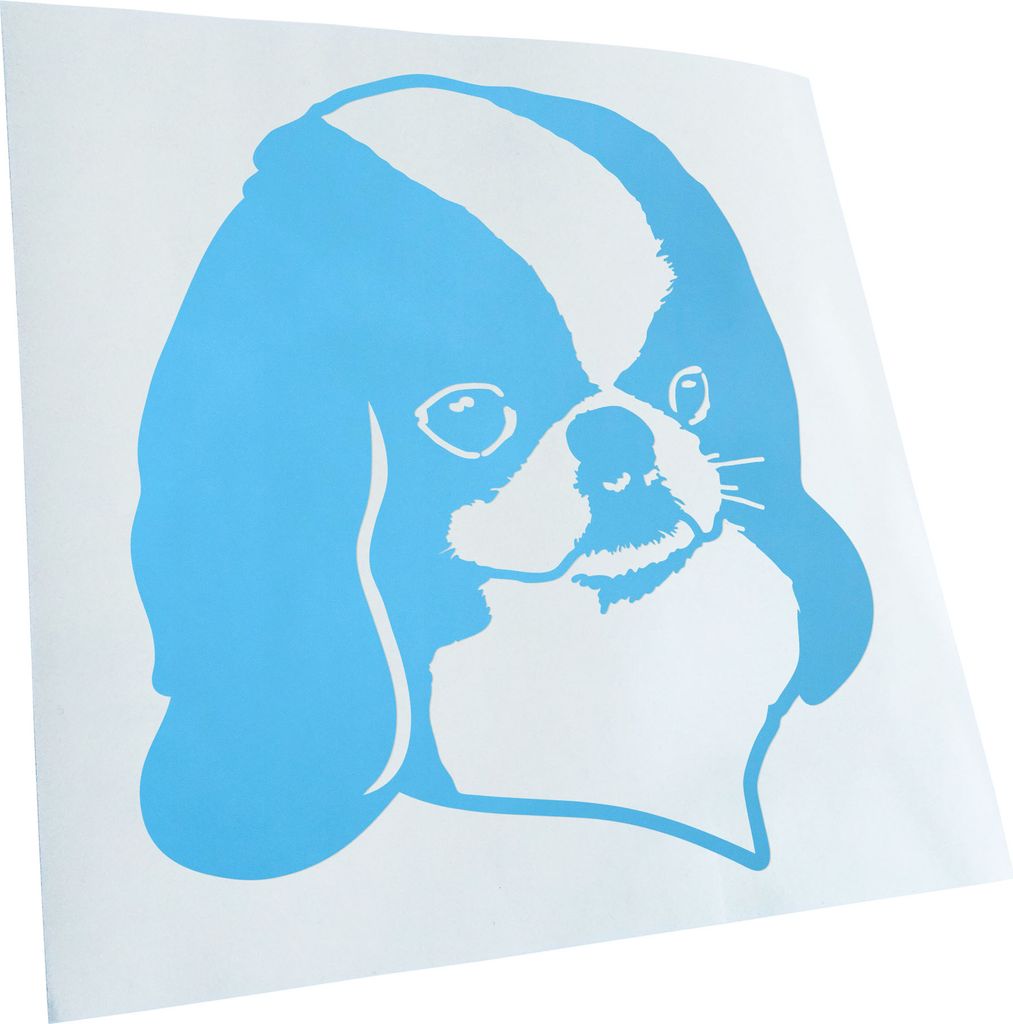 Kiwistar - Autoaufkleber - Japanese Chin Hund - Lichtblau - 50x45cm - Aufkleber für Auto, Laptop, Fahrrad, LKW, Motorrad Mehrfarbig JDM Decal Racing