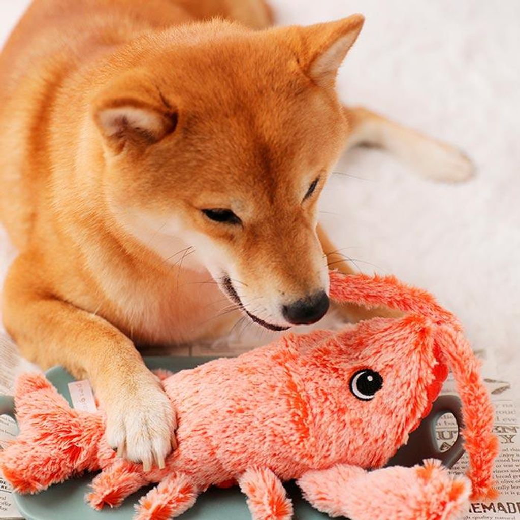 laboni hundespielzeug LABONI Hundespielzeug Thaddäus Tintenfisch – Karins Schwester Concept Store main image 1