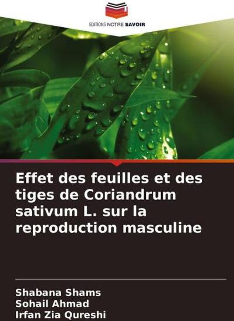 Effet des feuilles et des tiges de Coriandrum sativum L. sur la reproduction masculine