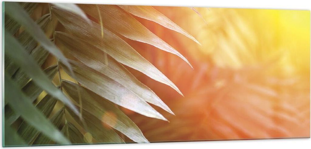 Bilder auf glas - Einteilig - Exotisch Blätter Dämmerung - 100x40cm - Glasbilder - Wandbilder - Bilder - Wanddekoration aus Glas - Glas Bilder - ...