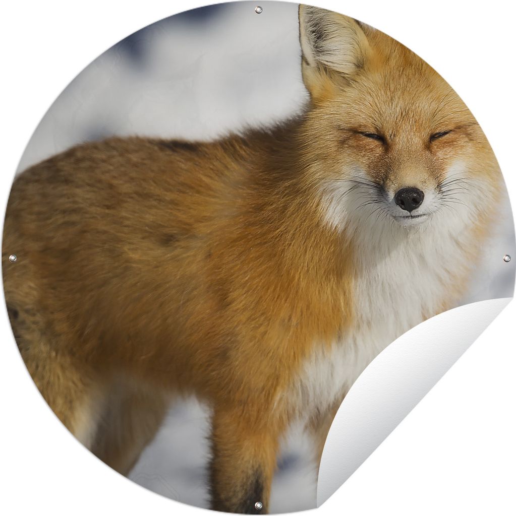 MuchoWow Gartenposter Outdoor-Poster Rund Fuchs - Schnee - Rot Ø 60 cm Gartendeko Rundes Poster draußen