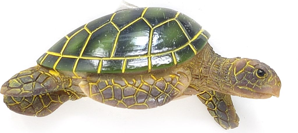 Nature Planet - Magnet - Meereschildkröte