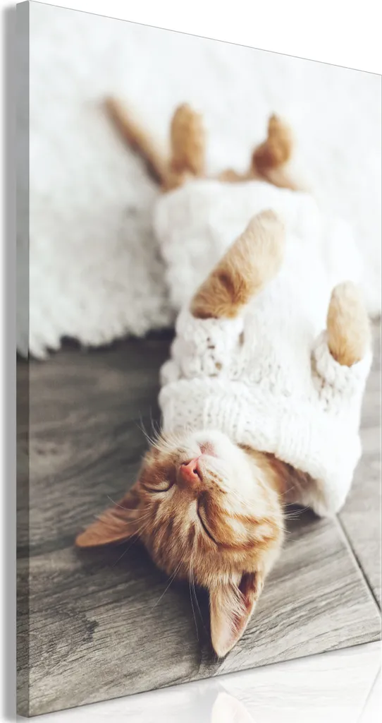 Quadro Gatto Pigro su Tela 40x60 cm - Idea Regalo Gatti e Animali