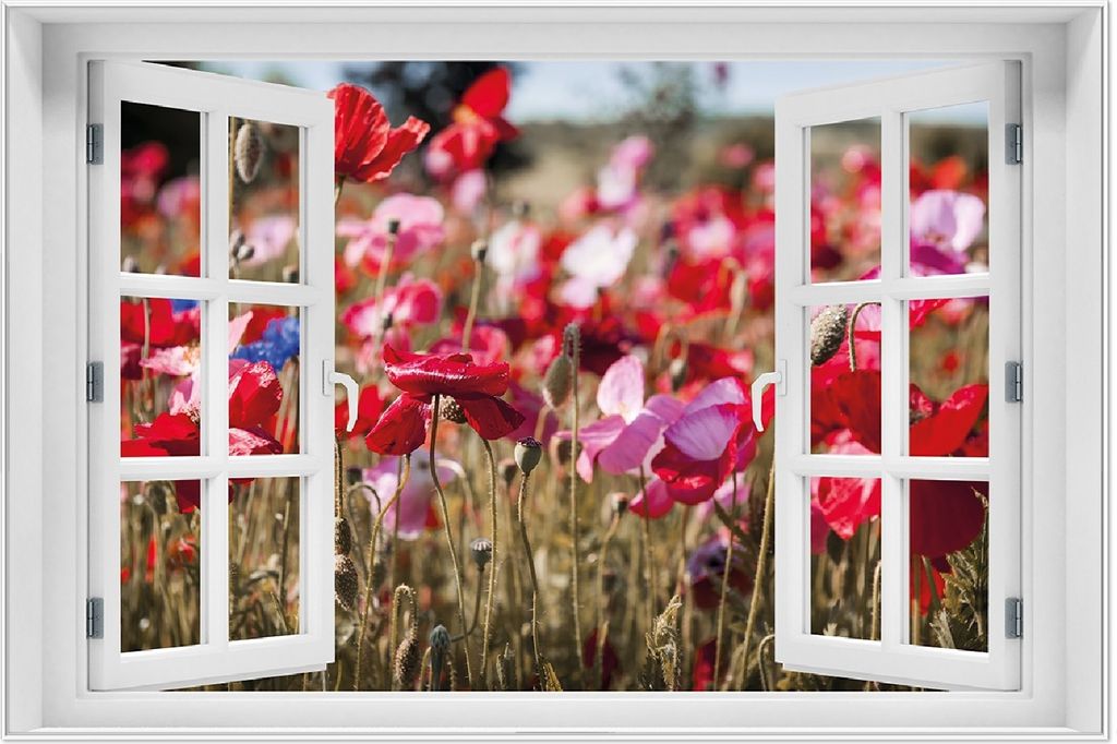 Wallario Wandbild mit Fenster-Illusion: Mohnblumen am Rande eines Feldes, Größe: 61 x 91,5 cm, Poster mit weißem Aluminiumrahmen