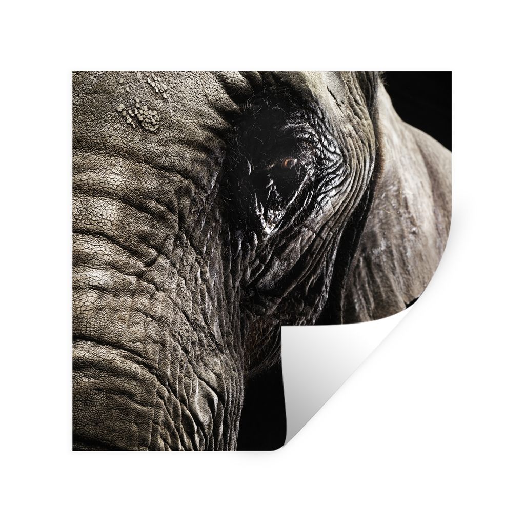MuchoWow Wandtattoo Wandsticker Wandaufkleber Elefant - Tiere - Nahaufnahme - Schwarz 100x100 cm Selbstklebend und Repositionierbar - Wierderverw...