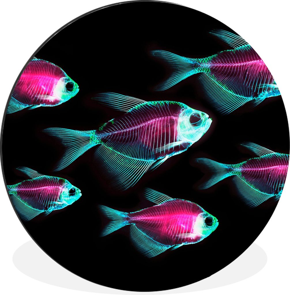 MuchoWow Aluminium Wandkreis Fisch - Lila - Blau Ø 30 cm Wanddeko Modern Wohnzimmer - Wand Bild - Wohnzimmer - Runde Bilder - Alubilder - Kunst ...