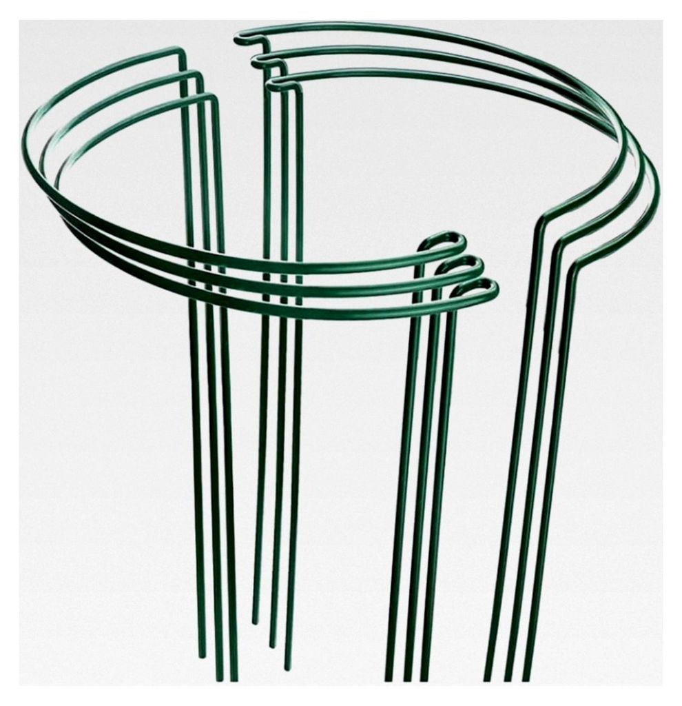 6er-Pack Große, 60 cm Hohe Pflanzenstützen in Bogenform aus Metall