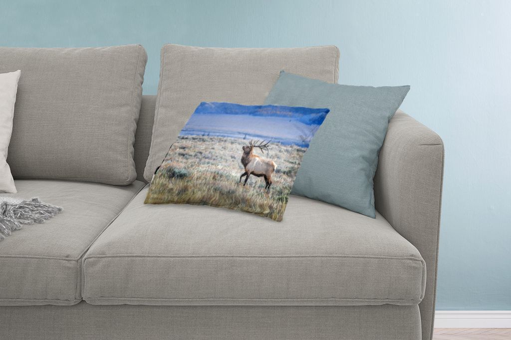 MuchoWow® Zierkissen Sofakissen Wohnzimmer Dekokissen 60x40 Produktbild 