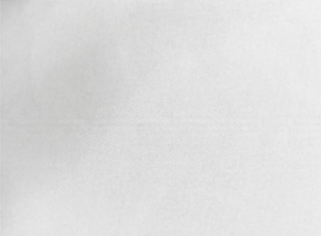 Fiesta kompostierbare Burgerverpackungen Weiß - 250x350 (200 Stück)