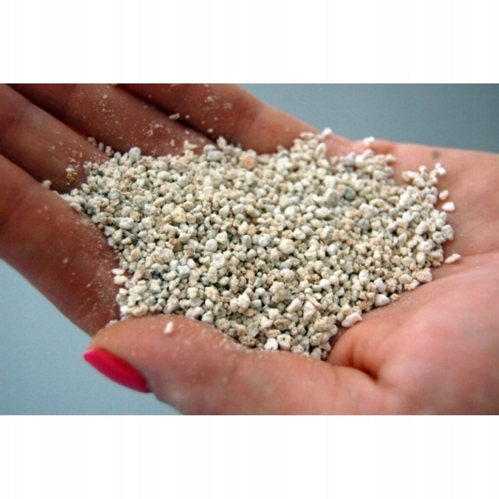 BIOVITA Perlit 1L Perlite für Pflanzen zur Kaufland.de