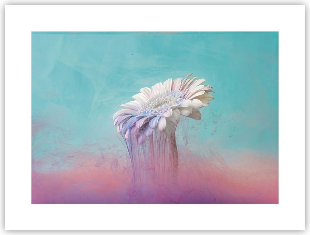 Poster - Poster ohne Rahmen - Modern Grafik Blume - 40x30 cm - Wand Bild - Wanddeko - Wandbilder - Kunstposter - Wandposter - Bilder - Kunstdruck -...