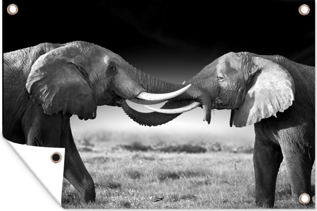 MuchoWow 60x40 cm Outdoor-Poster Gartendeko Sichtschutz Garten Poster für den Garten Elefant - Tiere - Schwarz und weiß - Porträt - Landschaft