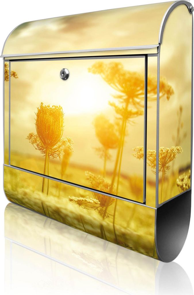 banjado Design Briefkasten Stahl silber mit Zeitungsfach pulverbeschichtet "Dill im Sonnenlicht" 38x46x12,5cm & 2 Schlüssel - Postkasten A4 Einwur...