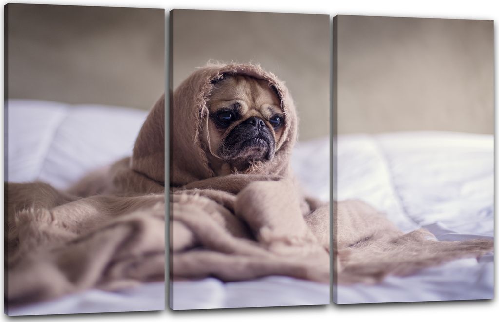 Leinwandbild 3-teilig (120x80cm): Süßer Mops cute puppy Tier-Bilder sweet Hunde-Baby Hundebabies, echter Holz-Keilrahmen inkl. Aufhänger, handge...