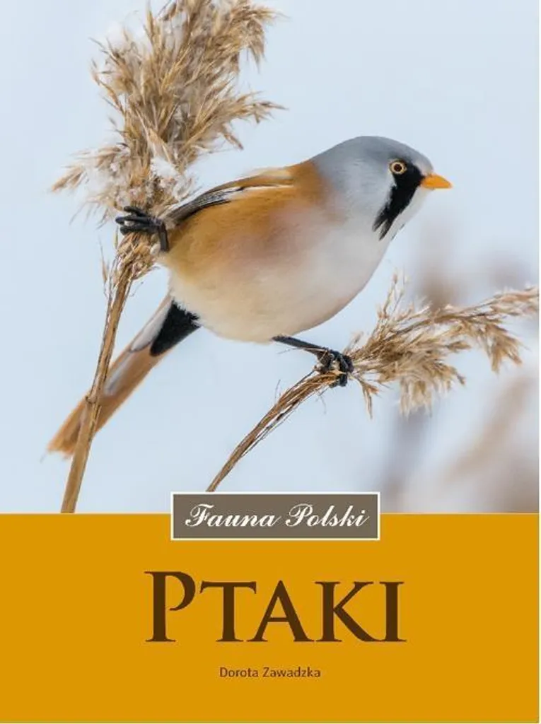 Observer les oiseaux en Pologne avec le guide expert Ptaki Fauna Polski