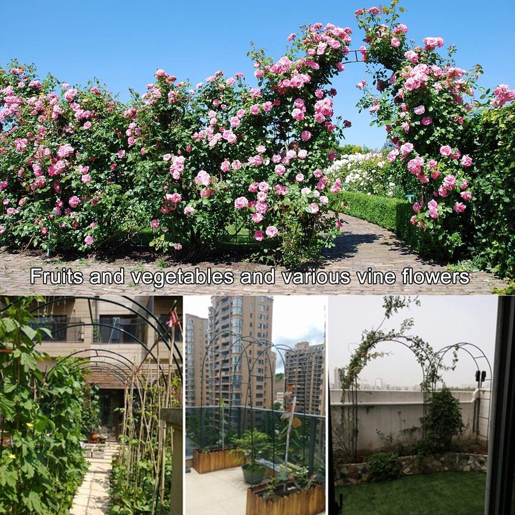 Speed rose arch 240x140x38cm kovová pergola pro šplhání / Obrázek produktu 12