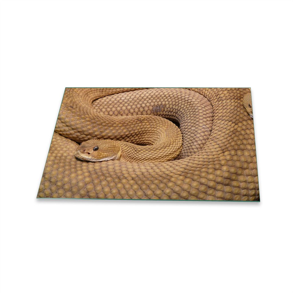 Herdabdeckplatte Glaskeramik 1 Teilig 80x52 Tiere Braun Abdeckung Glas Spritzschutz