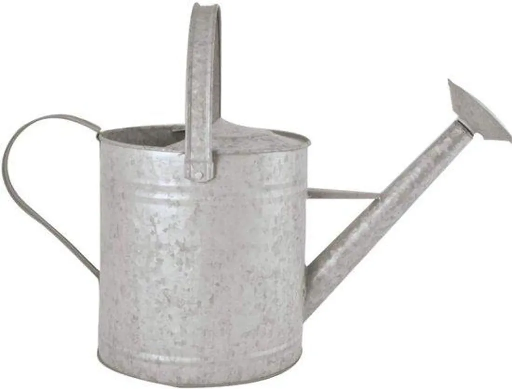 Arrosoir à bec pour arroser les grandes surfaces de jardin de 35L