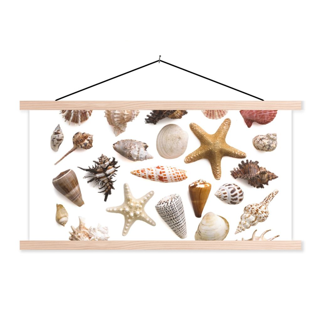 MuchoWow Textilposter Muschel - Seestern - Weiß 60x30 cm mit holzfarbenen Rahmen - Dekoration