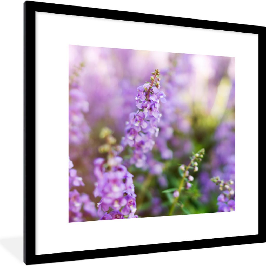 MuchoWow Gerahmtes Poster Nahaufnahme von ganzem Lavendel in einem Feld 40x40 cm - Poster mit Schwarzem Bilderrahmen Wandposter Rahmen Foto Bilde...