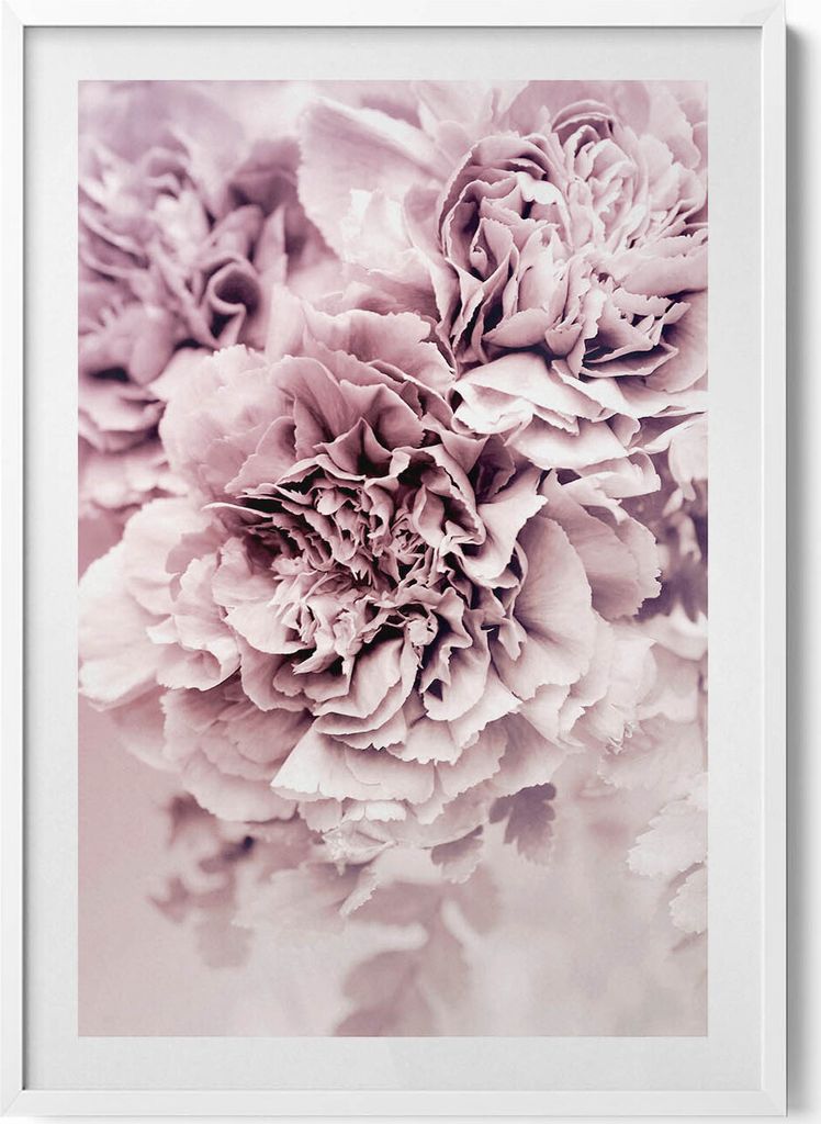 Blassrosa Pfingstrosenblüten– Wandbild mit Rahmen – Gerahmtes Bild – Wanddekoration – 70x100 cm – Weiß Rahmen