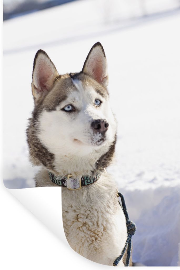 MuchoWow - Repositionierbar - Wasser abweisend