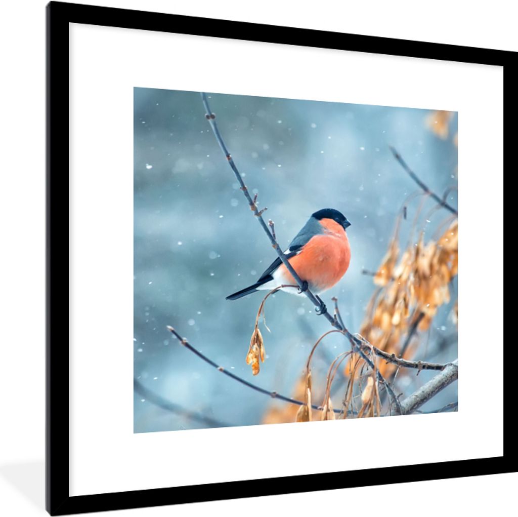 MuchoWow Gerahmtes Poster Rotkehlchen - Vogel - Schnee - Herbstliche Blätter 40x40 cm - Poster mit Schwarzem Bilderrahmen Wandposter Rahmen Foto...