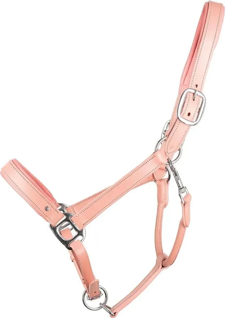 Licol pour chevaux en cuir rose Little Rider Serena BZ6099 - Taille Cob