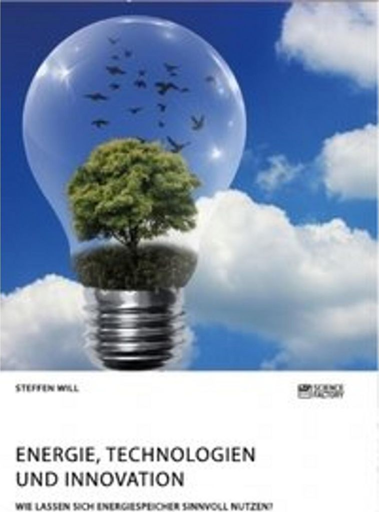Energie, Technologien und Innovation. Wie lassen sich Energiespeicher sinnvoll nutzen?