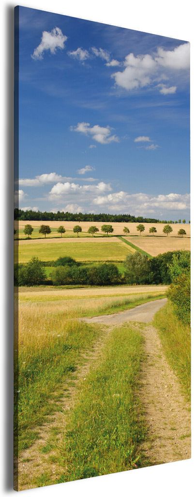 Wallario Premium Leinwandbild Feldlandschaft unter blauem Himmel in Größe 60 x 150 cm