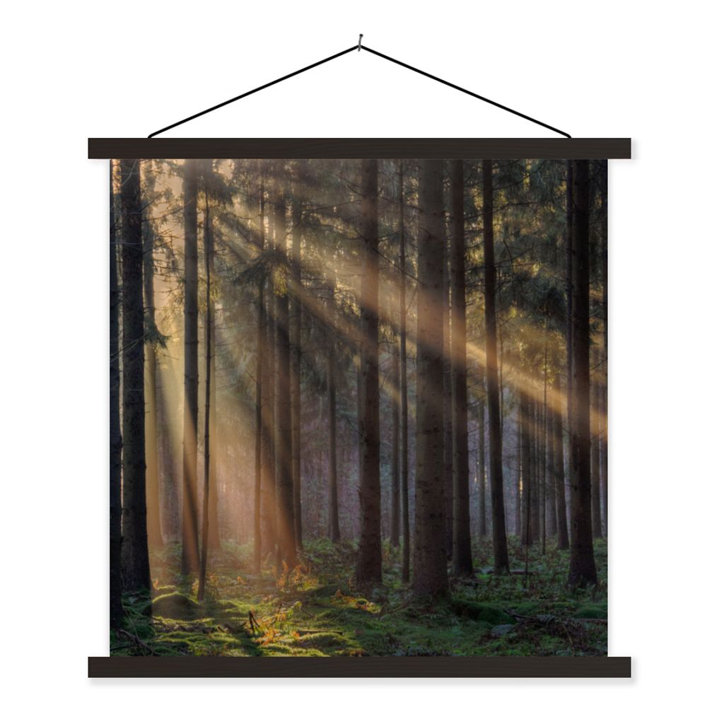 MuchoWow Textilposter Bäume - Wald - Sonne - Pflanzen 90x90 cm mit schwarzem Rahmen - Magnetisches