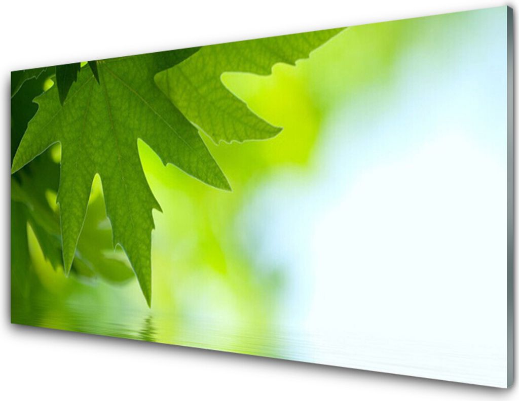 Küchenrückwand aus Glas 100x50cm Spritzschutz Blätter Natur