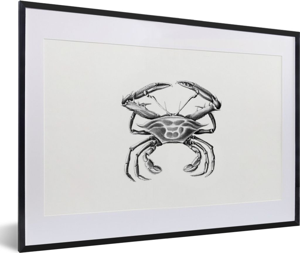MuchoWow Gerahmtes Poster Ernst Haeckel - Jahrgang - Kunst - Krabbe 60x40 cm - Poster mit Schwarzem Bilderrahmen Wandposter Rahmen Foto Bilder - ...