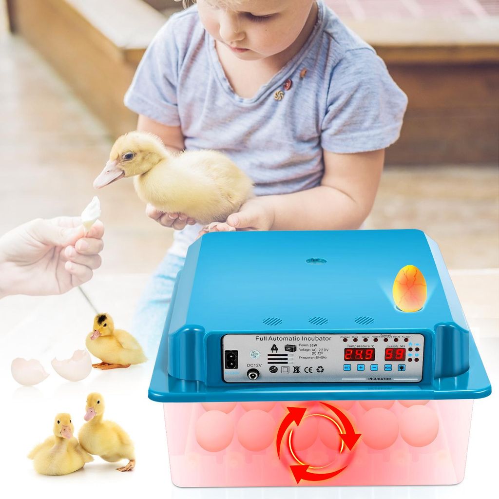 Incubateur entièrement automatique Izrielar 36 œufs – Image du produit 