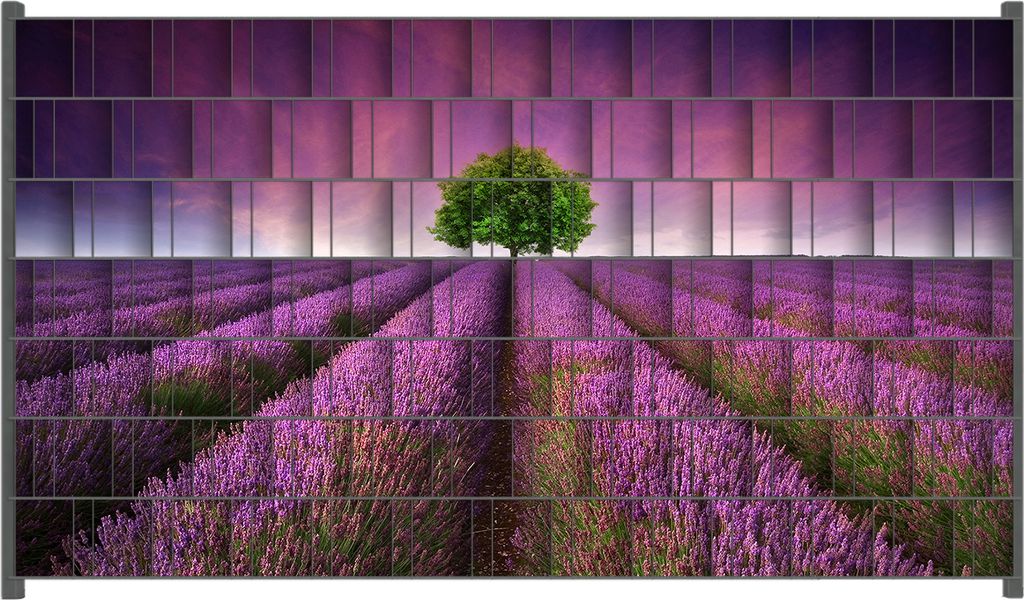 Wallario Zaunsichtschutz mit Motiv Lila Blumenfeld für Ein- und Doppelstabmatten Zäune in der Größe 250 x 140 cm