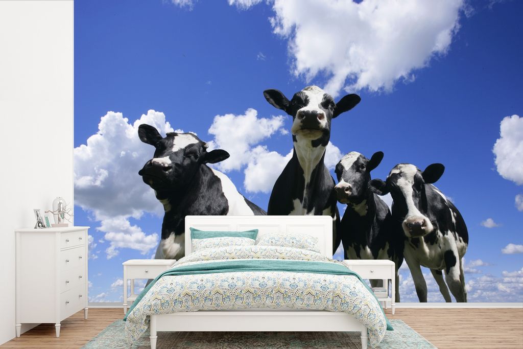 MuchoWow Fototapete für Wohnzimmer oder Schlafzimmer Wandtapete Vinyl Motivtapete Kuh - Luft - Tiere - 600x400 cm - Vinyltapeten