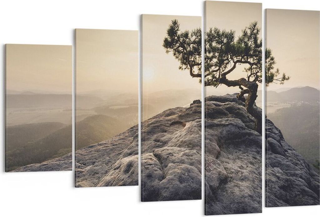 Bild auf Leinwand - Leinwandbild - 5 Teile - Alt Kiefer Berge - 150x100cm - Wand Bild - Wanddeko - Wandbilder - Leinwanddruck - Bilder - Wanddekora...