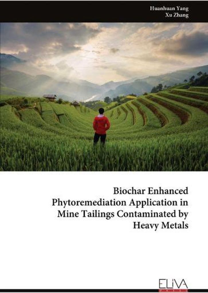 Anwendung von Biokohle zur Verbesserung der Phytosanierung in mit Schwermetallen kontaminierten Bergbauabfällen