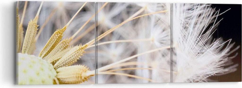 Bild auf Leinwand - Leinwandbild - Baby Sommer Pflanze - 90x30cm - Wand Bild - Wanddeko - Wandbilder - Leinwanddruck - Bilder - Kunstdruck - Wandde...