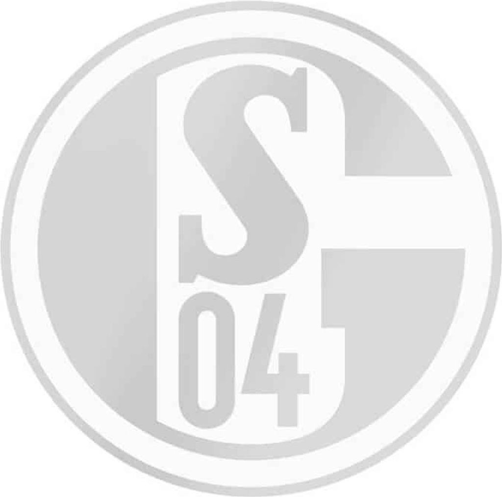 FC Schalke 04 S04 Auto-Aufkleber Silber Produktbild 